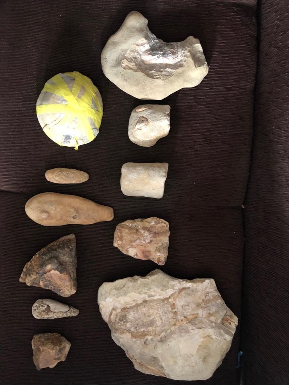Fósseis apreendidos pela Polícia Federal na operação Santanaraptor